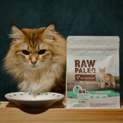 RAW PALEO karmy suche