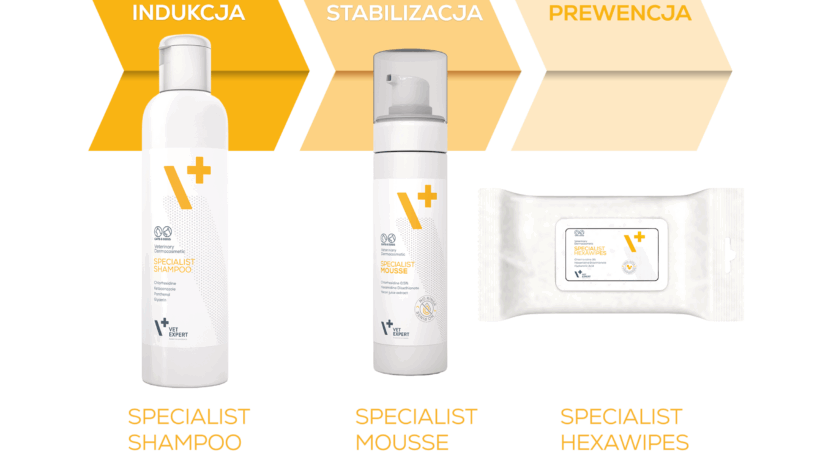 2560x1707_VE_Specialist_B