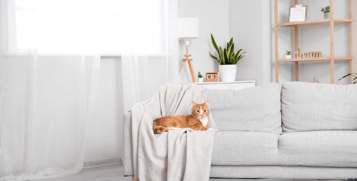 BADANIA DIAGNOSTYCZNE W WETERYNARII – NIE TYLKO W LABORATORIUM 